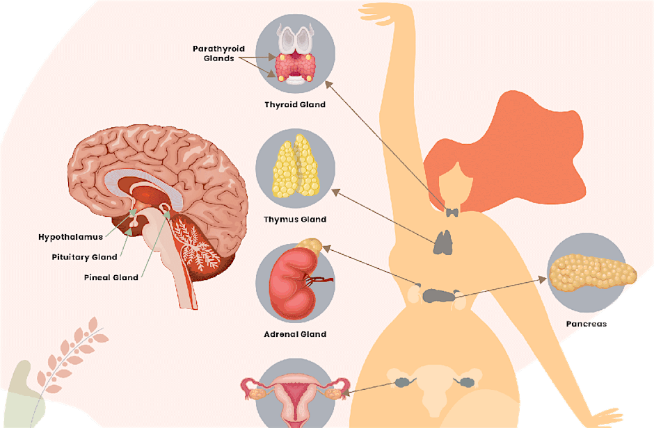 https cdn.evbuc.com images 1071633273 155548971886 1 original